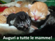 Festa della mamma - Auguri a tutte le mamme!